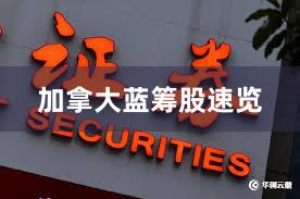 加拿大蓝筹股速览