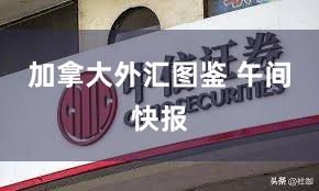 加拿大外汇图鉴 午间快报