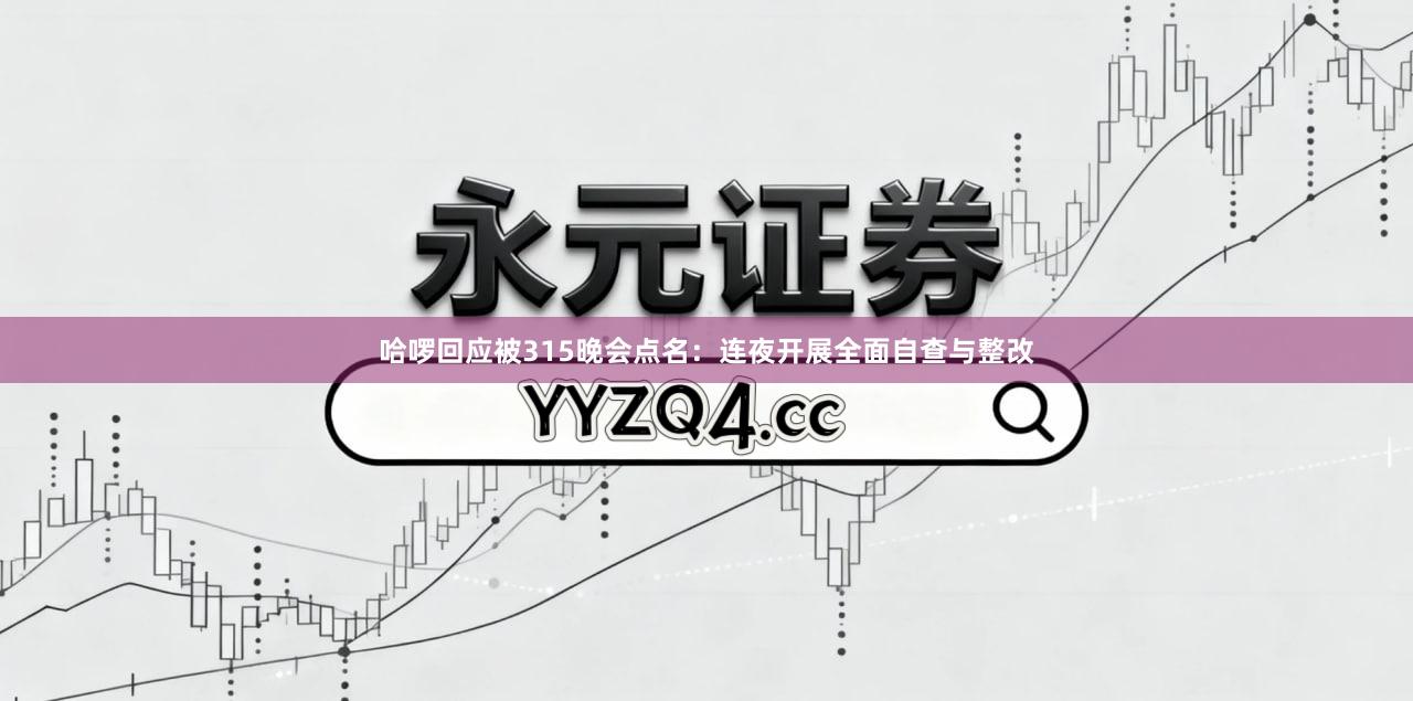 哈啰回应被315晚会点名：连夜开展全面自查与整改